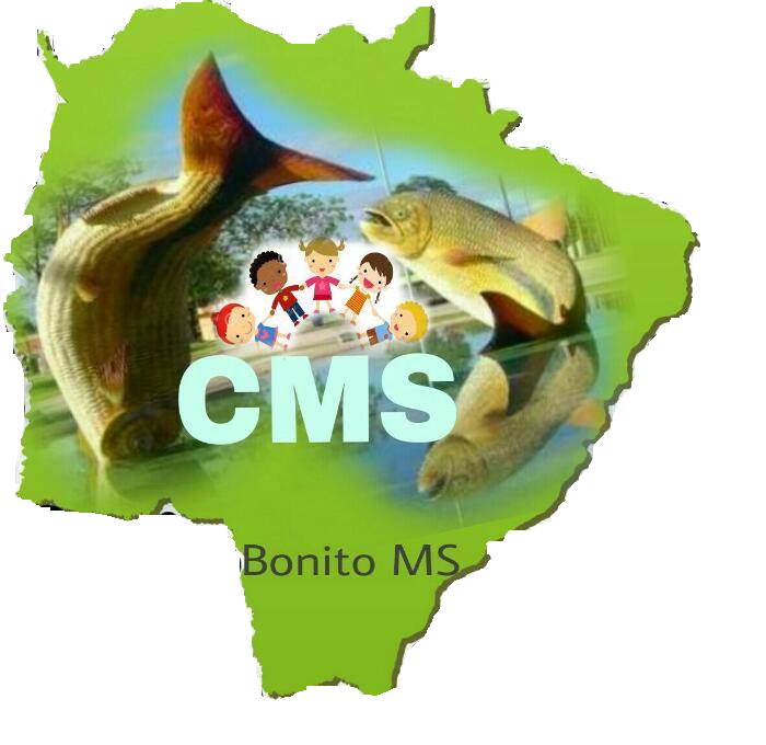 Conselho Municipal de Saúde