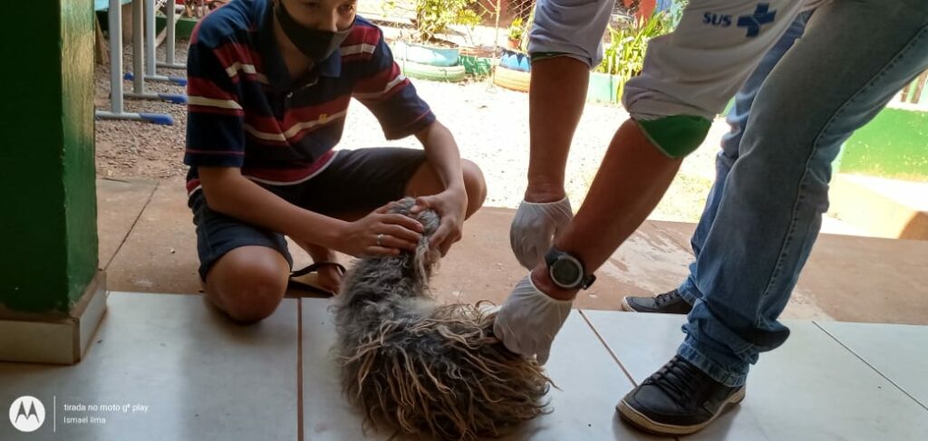 Dia D contra raiva vacina 1,1 mil animais em Bonito