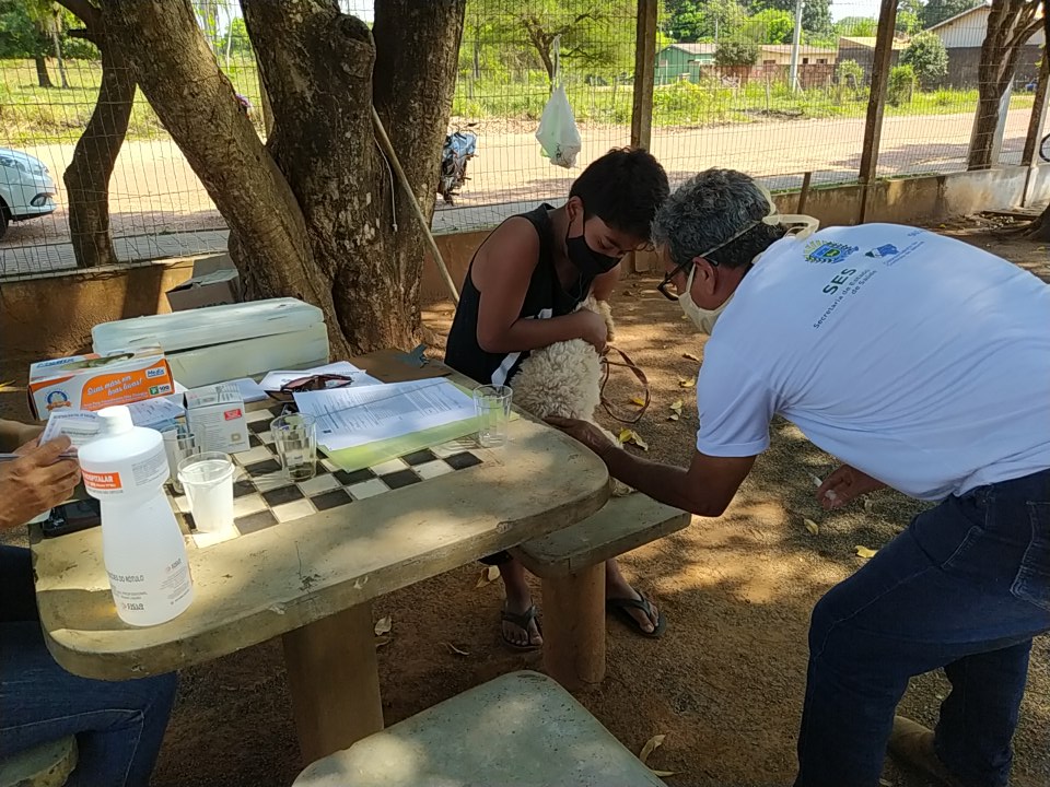Dia D contra raiva vacina 1,1 mil animais em Bonito