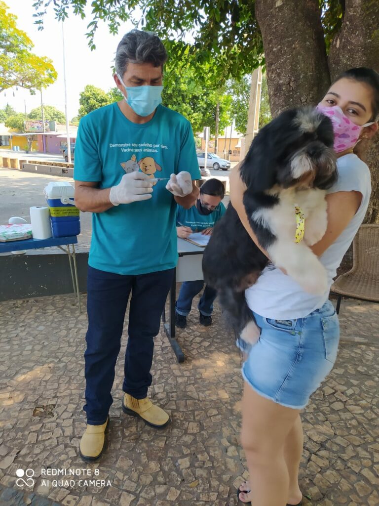 Dia D contra raiva vacina 1,1 mil animais em Bonito