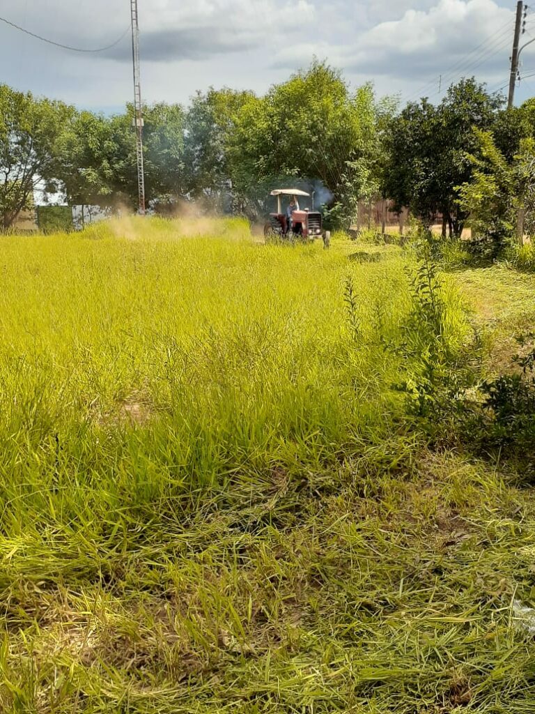 Secretaria de Obras intensifica trabalho de limpeza e patrolamento no município
