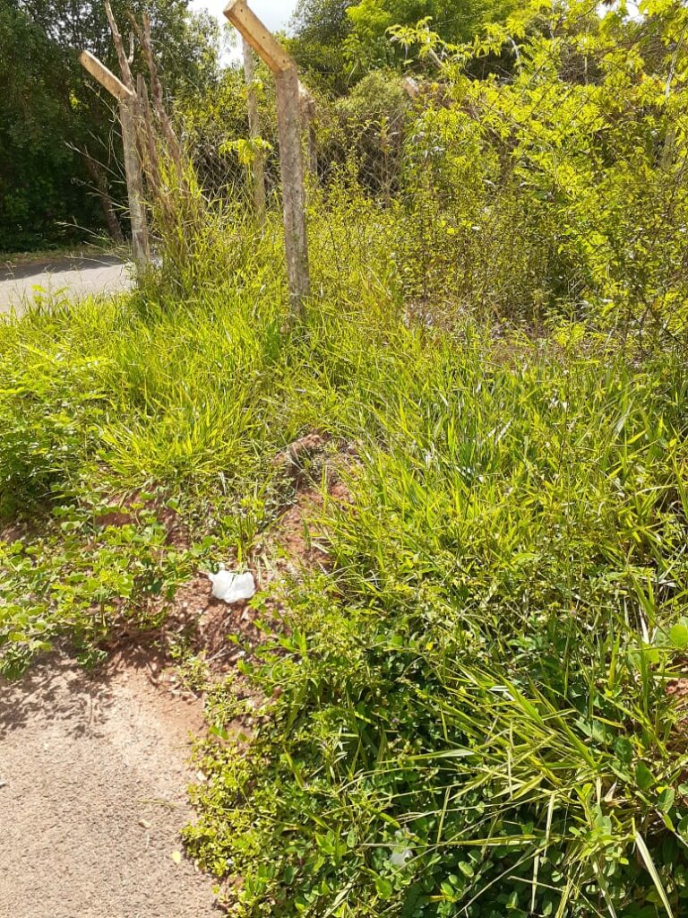 Secretaria de Obras intensifica trabalho de limpeza e patrolamento no município