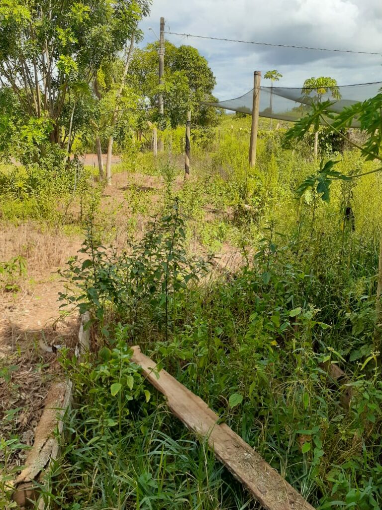 Secretaria de Obras intensifica trabalho de limpeza e patrolamento no município