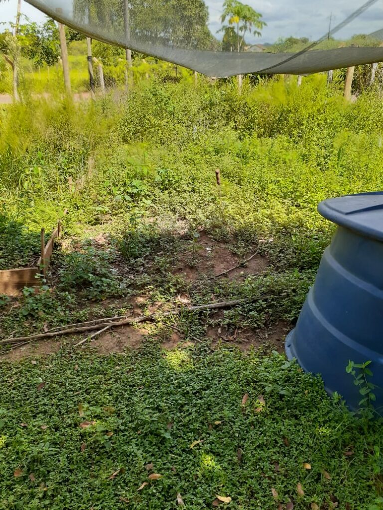 Secretaria de Obras intensifica trabalho de limpeza e patrolamento no município