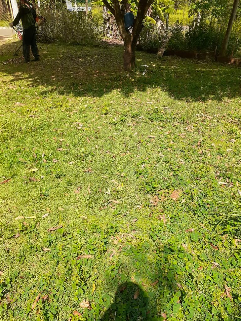 Secretaria de Obras intensifica trabalho de limpeza e patrolamento no município