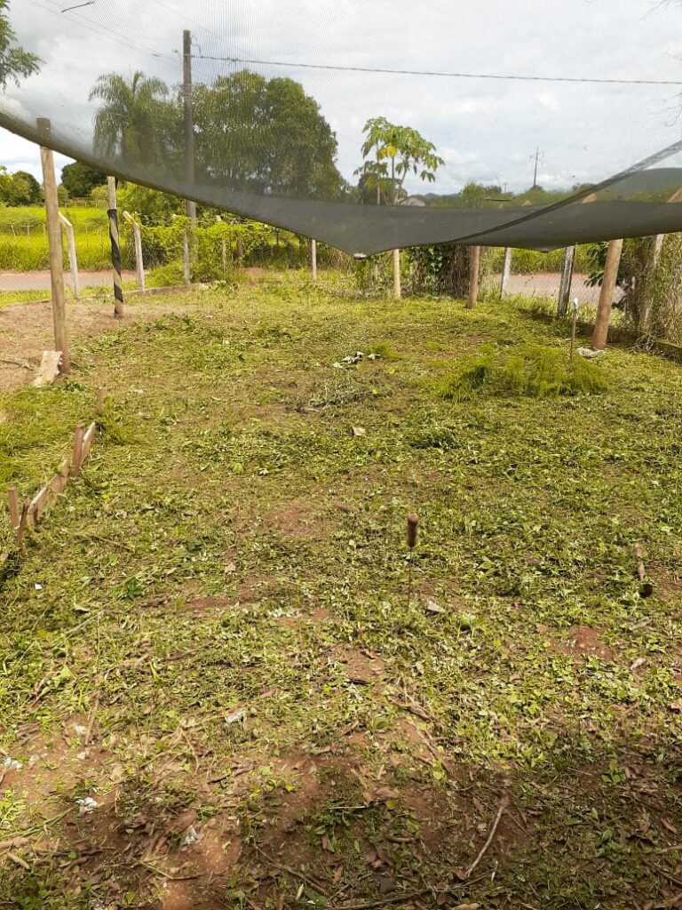 Secretaria de Obras intensifica trabalho de limpeza e patrolamento no município