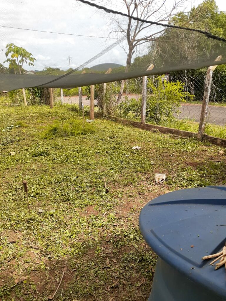 Secretaria de Obras intensifica trabalho de limpeza e patrolamento no município