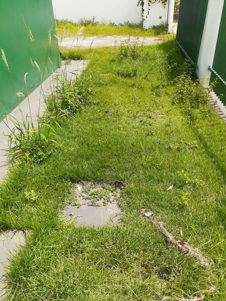 Secretaria de Obras intensifica trabalho de limpeza e patrolamento no município