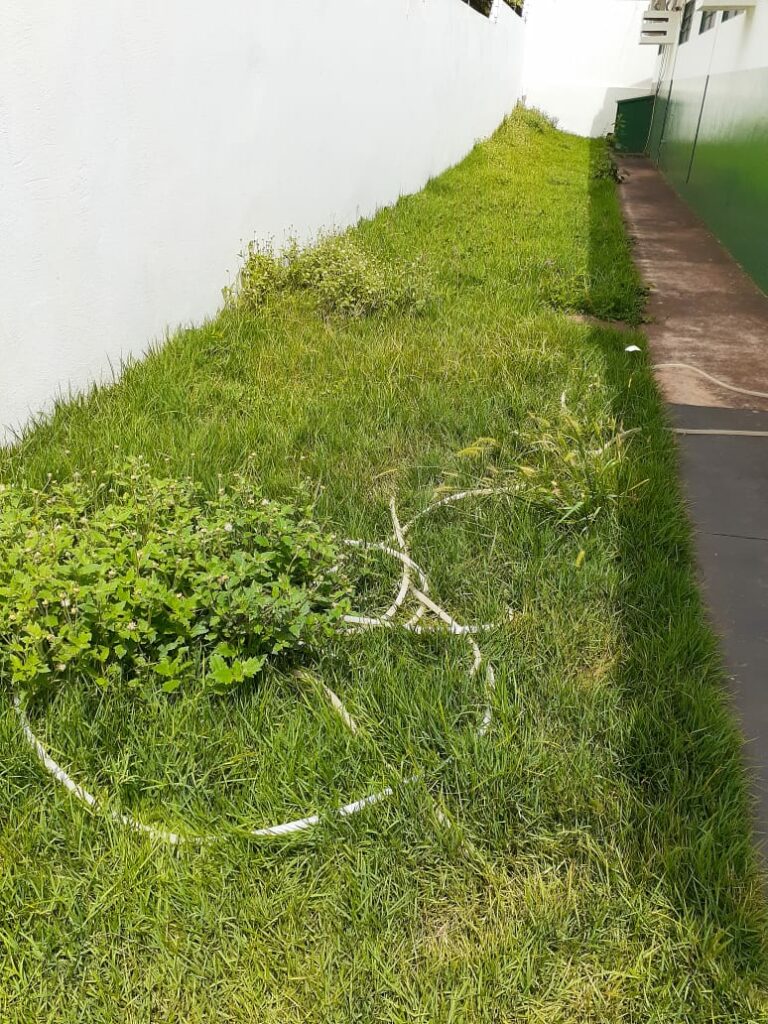 Secretaria de Obras intensifica trabalho de limpeza e patrolamento no município