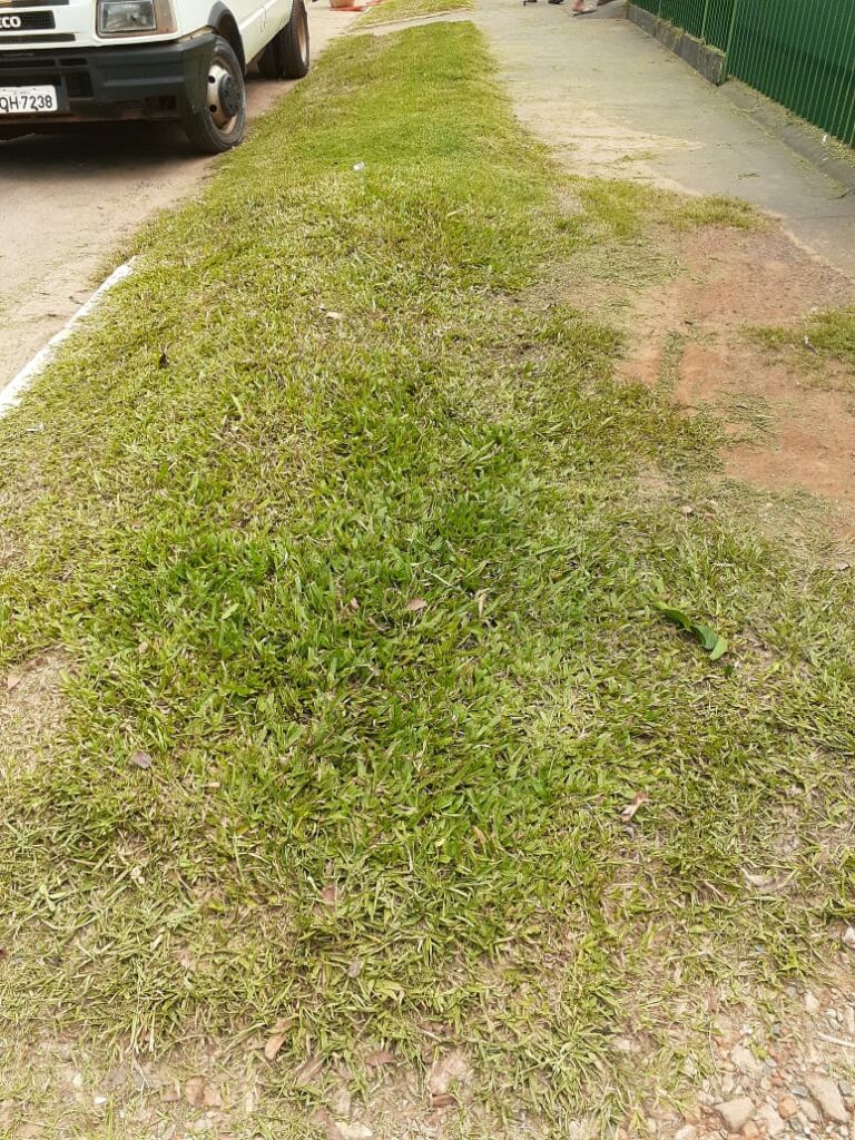 Secretaria de Obras intensifica trabalho de limpeza e patrolamento no município