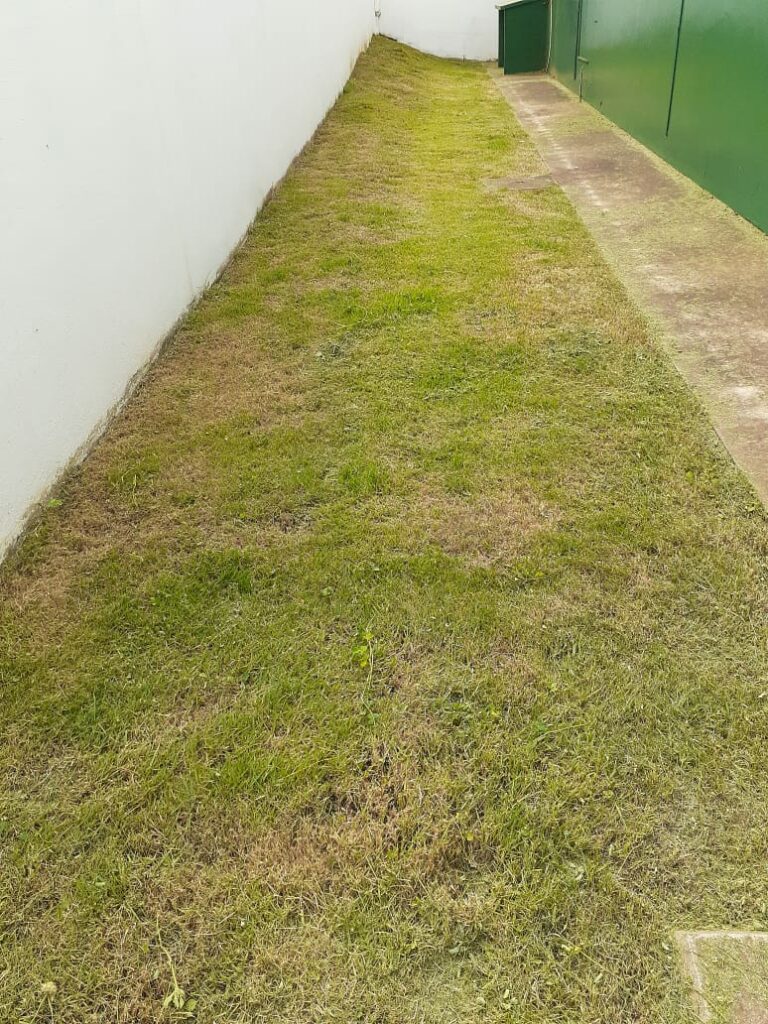 Secretaria de Obras intensifica trabalho de limpeza e patrolamento no município