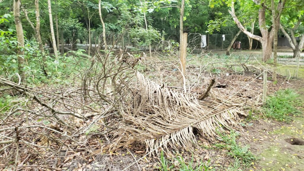 Prefeito participa de mutirão de limpeza no Balneário Municipal de Bonito