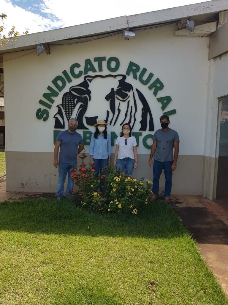 Prefeitura busca alternativa para Supressão de Árvores