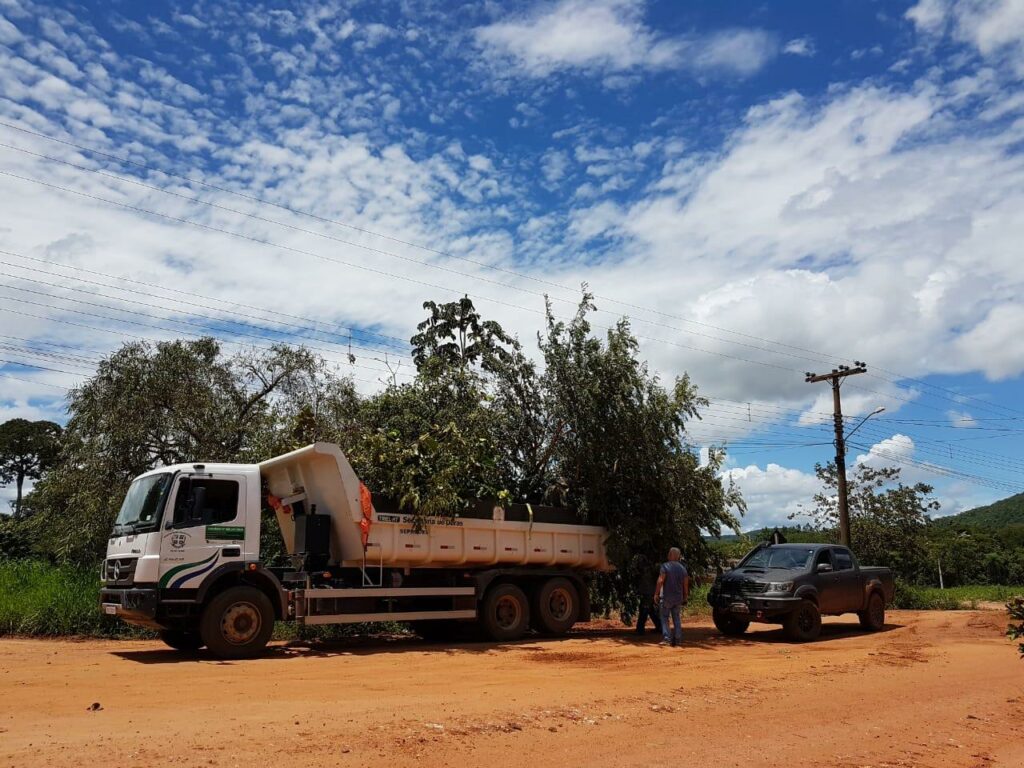 Prefeitura busca alternativa para Supressão de Árvores