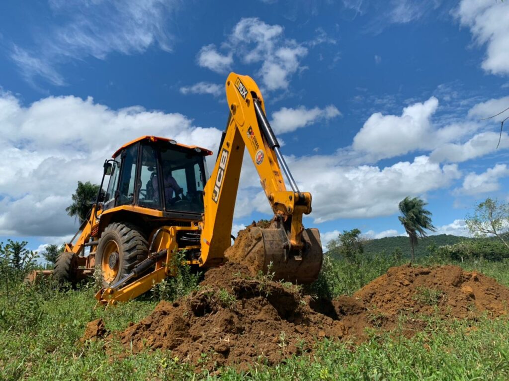 Prefeitura busca alternativa para Supressão de Árvores