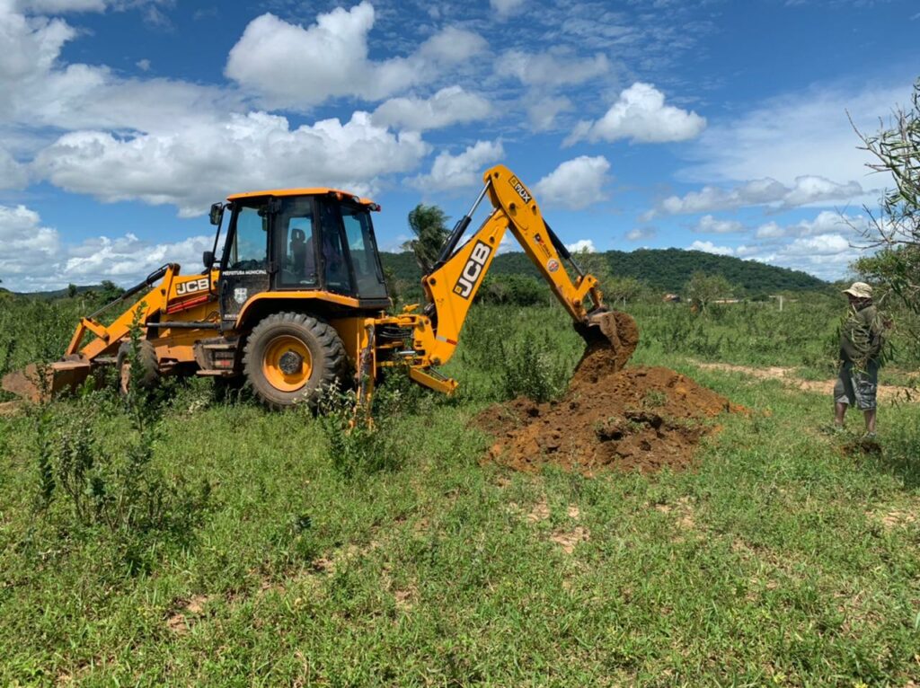 Prefeitura busca alternativa para Supressão de Árvores