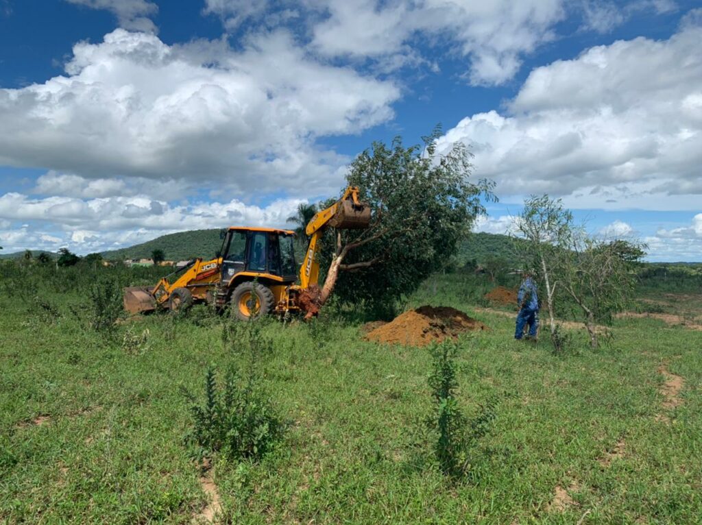 Prefeitura busca alternativa para Supressão de Árvores