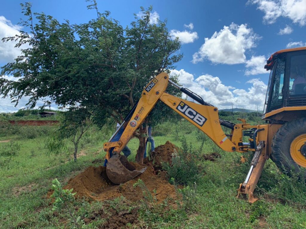 Prefeitura busca alternativa para Supressão de Árvores