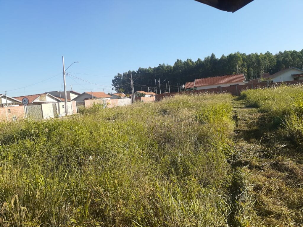 Limpeza urbana e reparos na iluminação pública; Prefeitura intensifica serviços de melhorias para a população