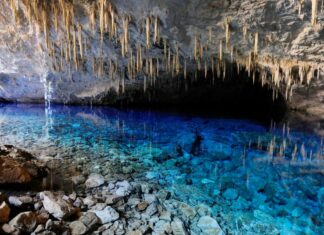 Bonito abre cadastramento de Guias de Turismo para o biênio 2026/2027 Category Template 1