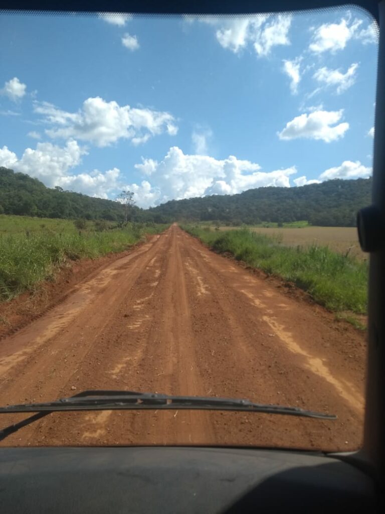 Secretaria de Obras intensifica trabalho de manutenção e limpeza no município e Distrito