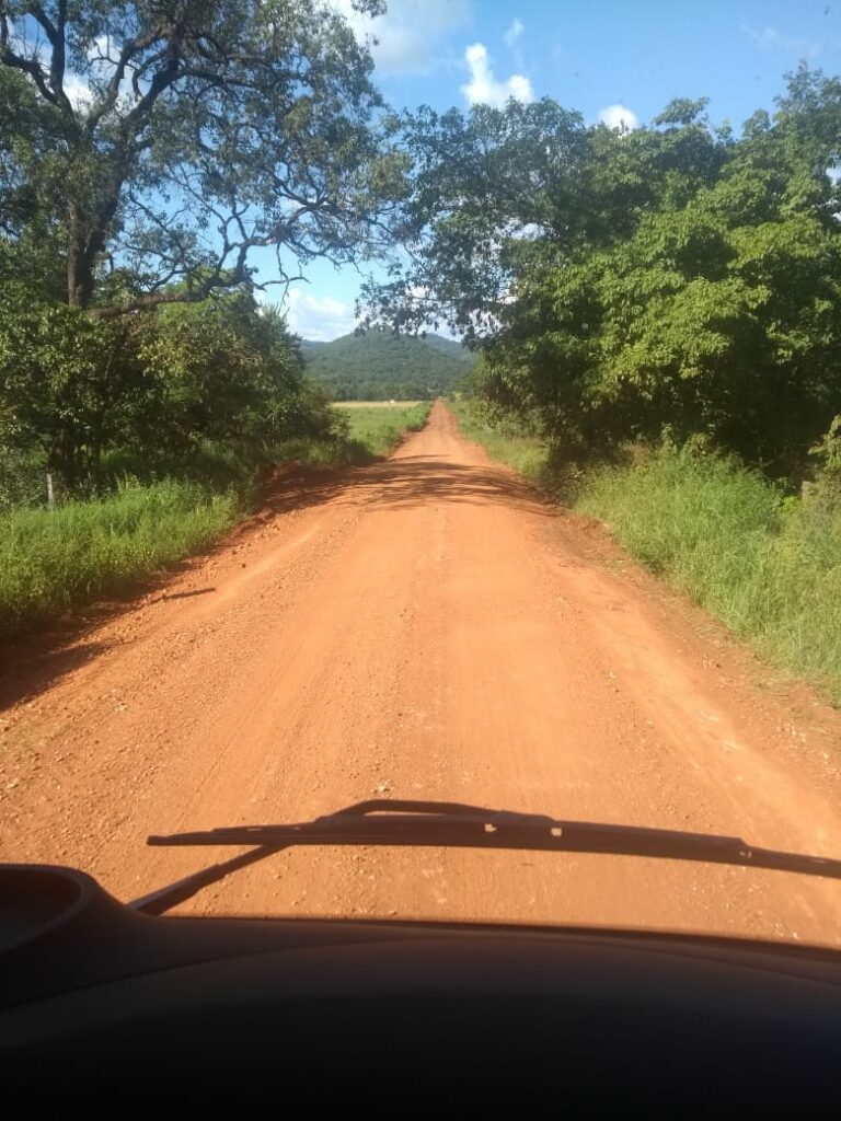 Secretaria de Obras intensifica trabalho de manutenção e limpeza no município e Distrito