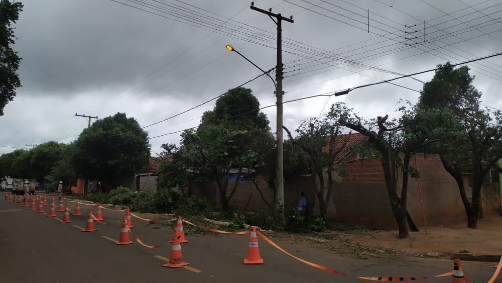 Energisa realiza planejamento e execução de Podas em Bonito