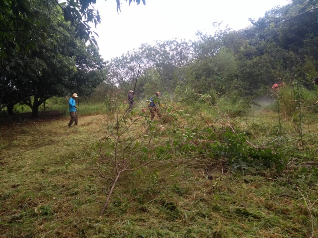 Mutirão de limpeza e outras ações são realizados na área urbana e nos assentamentos