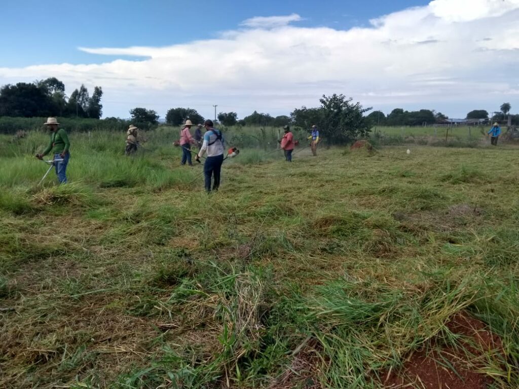 Mutirão de limpeza e outras ações são realizados na área urbana e nos assentamentos