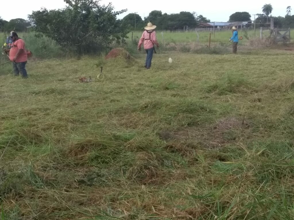 Mutirão de limpeza e outras ações são realizados na área urbana e nos assentamentos