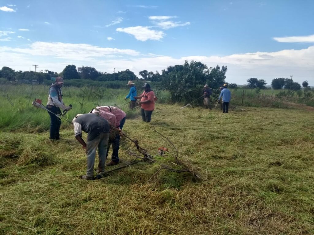 Mutirão de limpeza e outras ações são realizados na área urbana e nos assentamentos