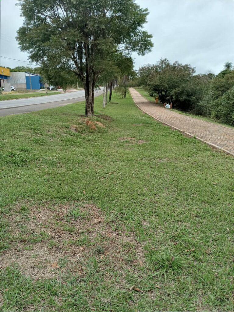 Secretaria de Esportes faz mutirão de limpeza na pista de caminhada e ciclovia localizada às margens da MS-178