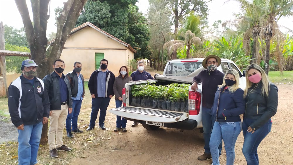 SEMA doa mudas de Ipês ao município de Bela Vista para a arborização urbana SEMA doa mudas de Ipês ao município de Bela Vista para a arborização urbana