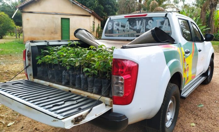 WhatsApp Image 2021-07-28 at 15.47.03