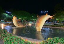 Com 83% do público alvo imunizado, Bonito zera casos ativos de Covid-19