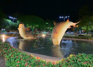 Com 83% do público alvo imunizado, Bonito zera casos ativos de Covid-19 Category Template 1