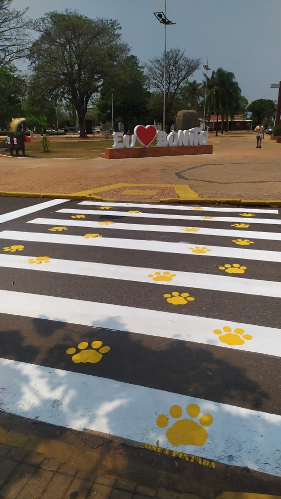 SEMA faz balanço de ações realizadas na "I Semana de Defesa da Fauna e Flora de Bonito"