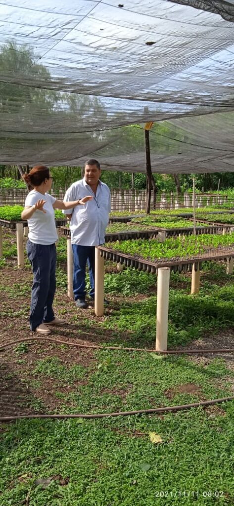 Viveiro municipal de Bonito passa por revitalização e pode receber centro de educação ambiental