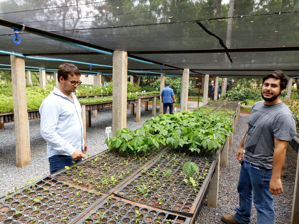 Viveiro Municipal recebe doações de terra e substratos para continuidade de ações em 2022