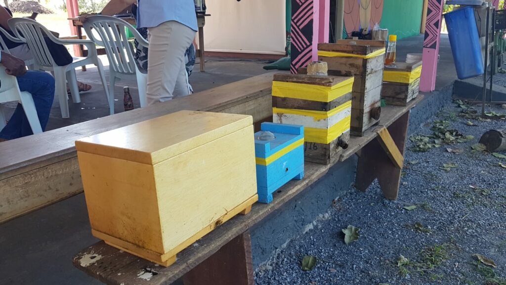 Viveiro Municipal recebe curso gratuito sobre cultivo do mel com abelhas sem ferrão