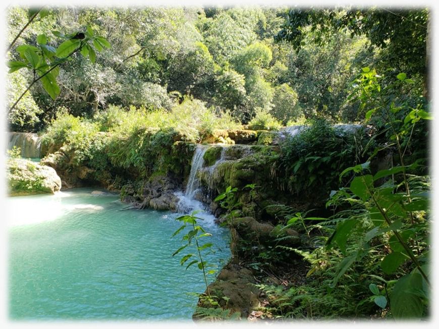 31 de Janeiro - Dia Nacional das RPPN's