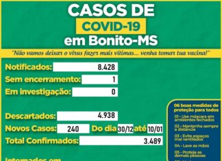 Saúde detalha casos de Covid em Bonito e destaca zero pacientes internados Category Template 1