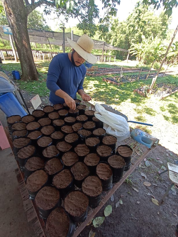 Sema recebe doação de sementes de mamão para reprodução de mudas