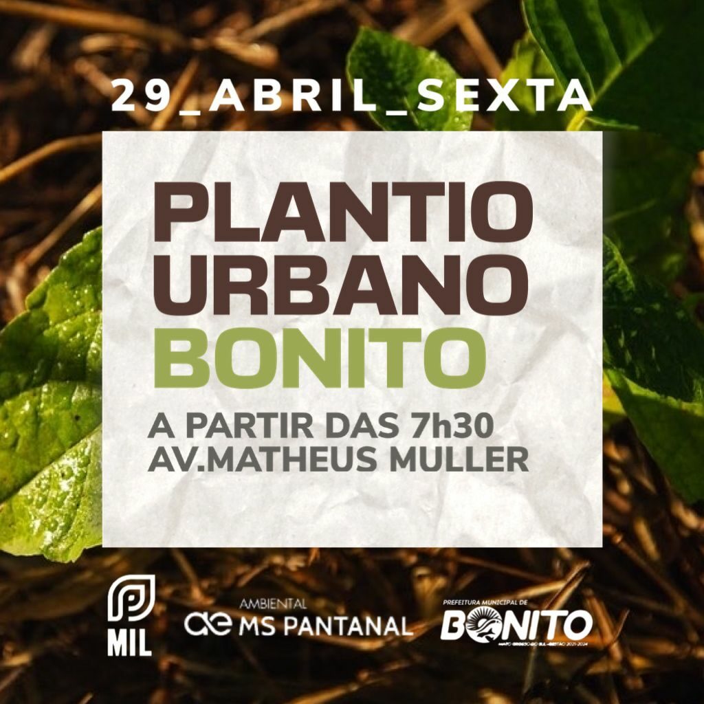 Sema e parceiros realizam Dia de Plantio Urbano na Matheus Muller nesta sexta-feira