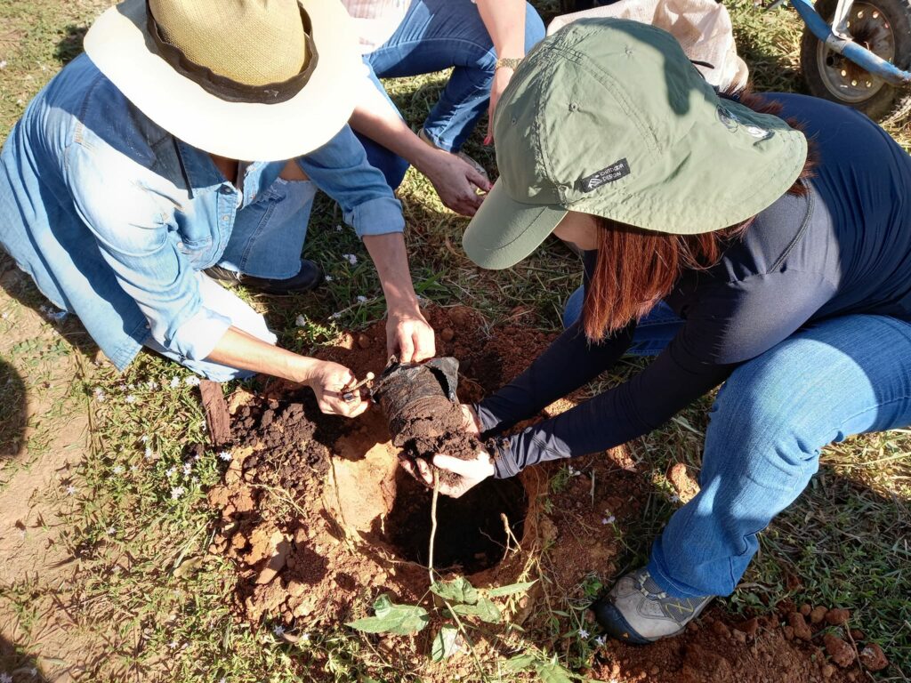 Em 'Dia do Plantio Urbano' mais de 100 mudas de espécies nativas foram plantas da Rodovia do Turismo