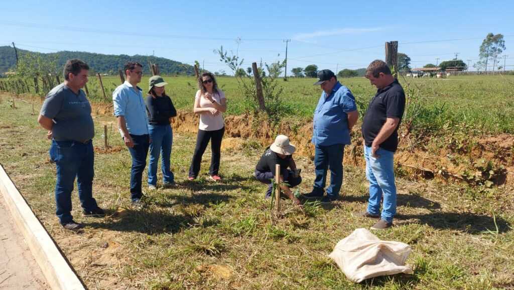 Em 'Dia do Plantio Urbano' mais de 100 mudas de espécies nativas foram plantas da Rodovia do Turismo