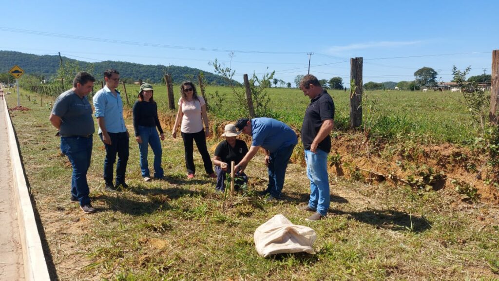 Em 'Dia do Plantio Urbano' mais de 100 mudas de espécies nativas foram plantas da Rodovia do Turismo