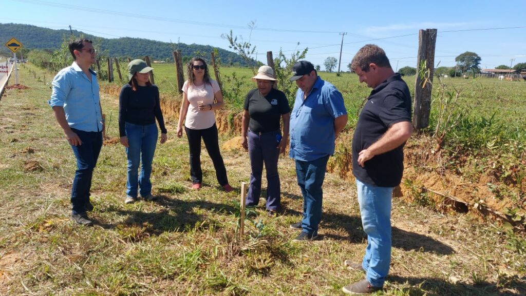 Em 'Dia do Plantio Urbano' mais de 100 mudas de espécies nativas foram plantas da Rodovia do Turismo