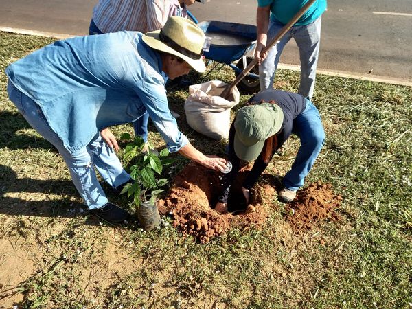 Em 'Dia do Plantio Urbano' mais de 100 mudas de espécies nativas foram plantas da Rodovia do Turismo