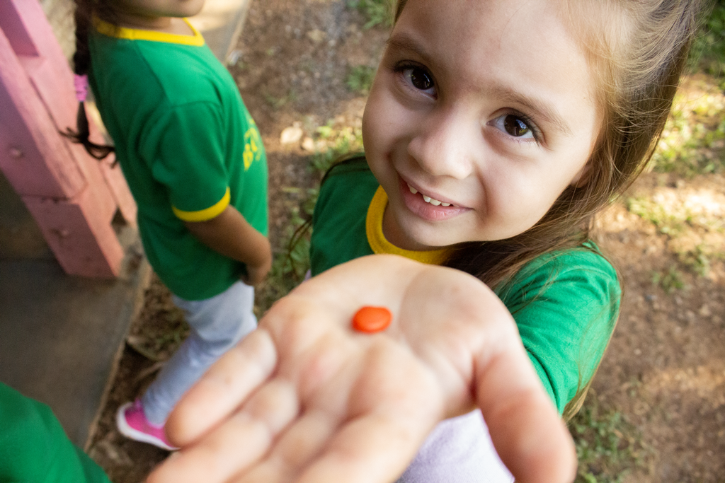 Alunos do CEI Hermínia visitam Viveiro Municipal